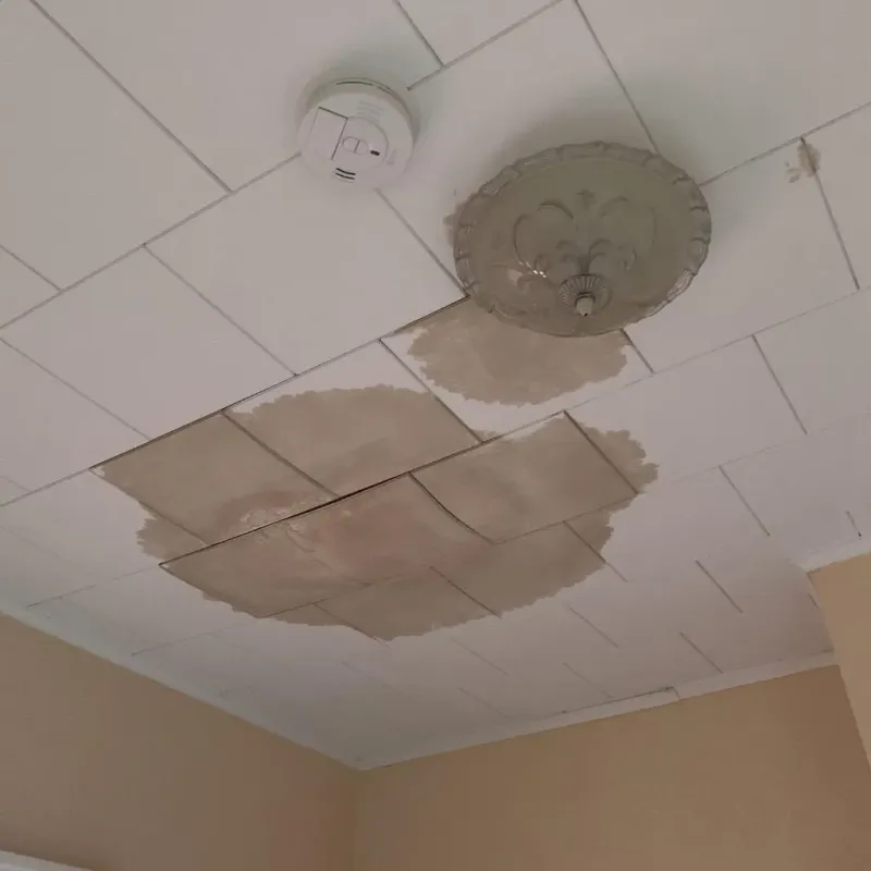 Ceiling Water Damage Repair in Crittenden, KY