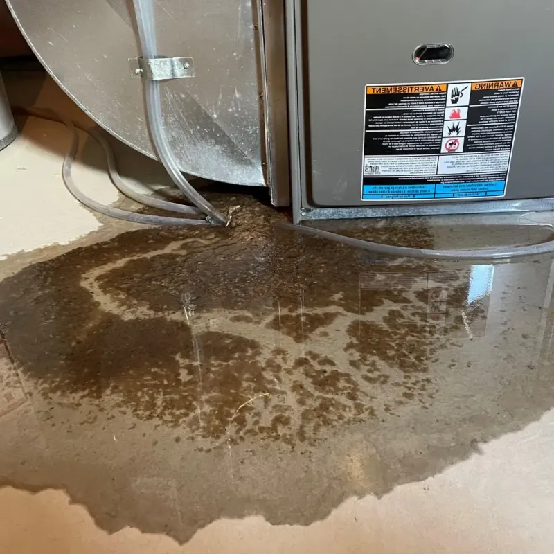 Pipe Burst and Leak Restoration in Crittenden, KY