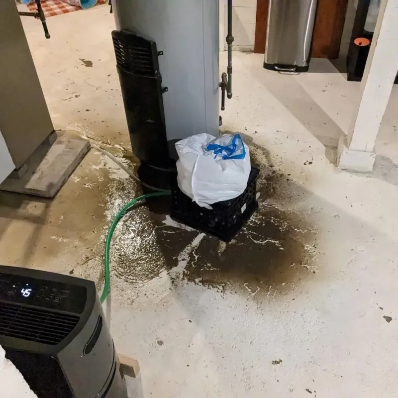 Sewage Backup Cleanup Service in Crittenden, KY